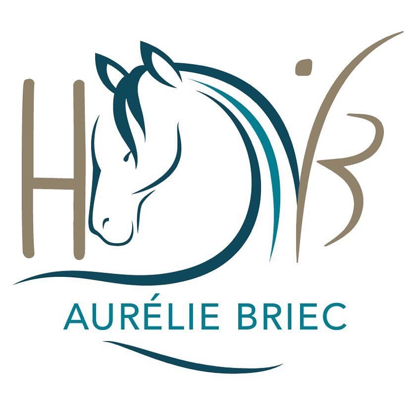 Logo H2B